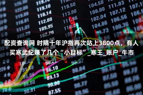 配资查询网 时隔十年沪指再次站上3800点，有人买寒武纪赚了几个“小目标”_寒王_账户_牛市