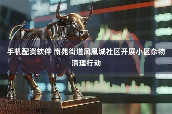 手机配资软件 南苑街道凤凰城社区开展小区杂物清理行动