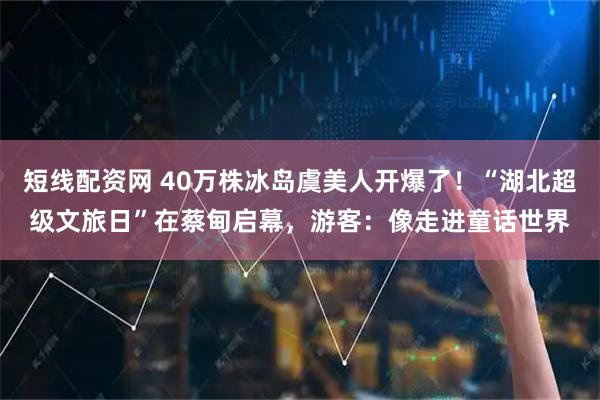 短线配资网 40万株冰岛虞美人开爆了！“湖北超级文旅日”在蔡甸启幕，游客：像走进童话世界